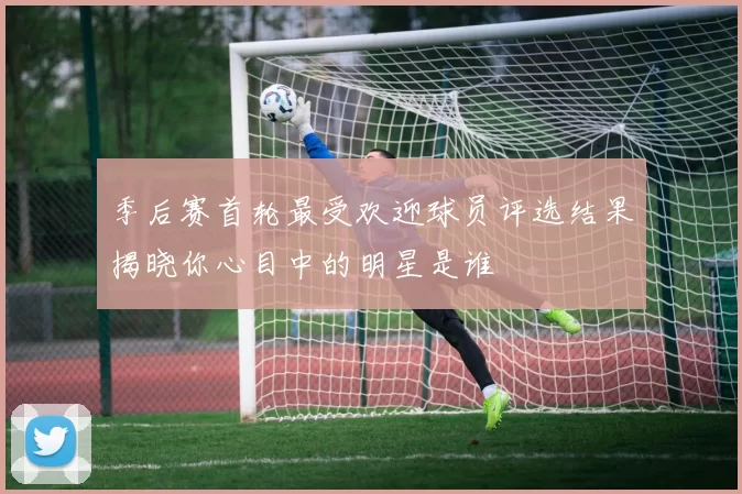 季后赛首轮最受欢迎球员评选结果揭晓你心目中的明星是谁
